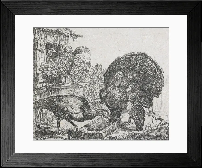 Framed Print : Four turkeys, 1615-1653. Creator: Simon de Vlieger Framed Print : Four turkeys, 1615-1653. Creator: Simon de Vlieger