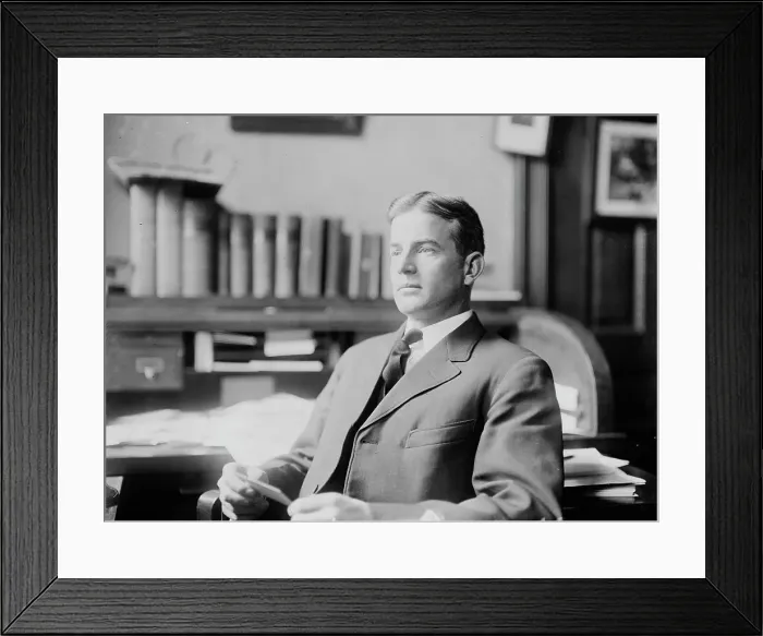 Framed Print : W.D. Embree, between c1910 and c1915. Creator: Bain News Service Framed Print : W.D. Embree, between c1910 and c1915. Creator: Bain News Service