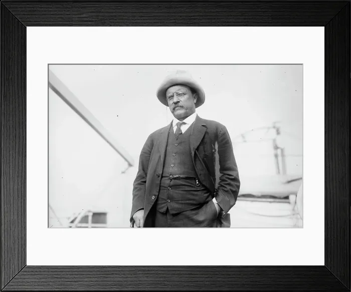 Framed Print : Col. Theo. Roosevelt, 1915. Creator: Bain News Service Framed Print : Col. Theo. Roosevelt, 1915. Creator: Bain News Service