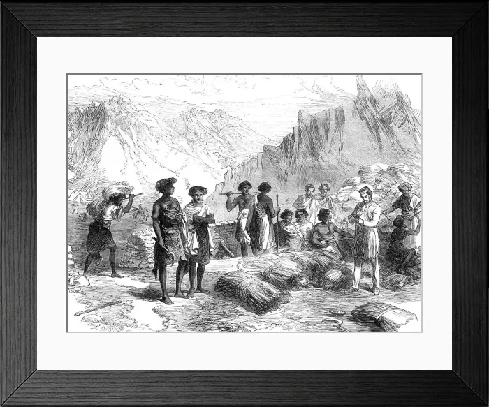 Framed Print : The British Expedition to Abyssinia: Shohos bringing in grass to the Commissariat, Undel Wells, 1868 Creator: Unknown Framed Print : The British Expedition to Abyssinia: Shohos bringing in grass to the Commissariat, Undel Wells, 1868 Creator: Unknown