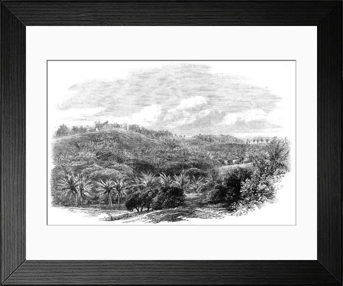 Framed Print : The Outbreak in Jamaica: Muirton House and Plantation, Morant Bay, 1865. Creator: Unknown Framed Print : The Outbreak in Jamaica: Muirton House and Plantation, Morant Bay, 1865. Creator: Unknown