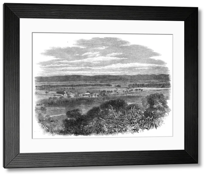 Framed Print : The Hordley Estate, Morant Bay, Jamaica, 1865. Creator: Unknown Framed Print : The Hordley Estate, Morant Bay, Jamaica, 1865. Creator: Unknown