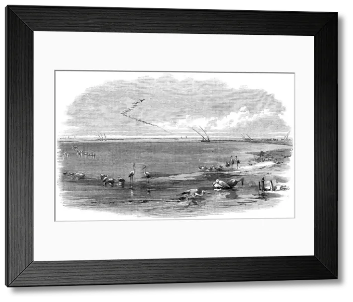 Framed Print : The Isthmus of Suez Maritime Canal: Lake Menzaleh, 1869. Creator: Unknown Framed Print : The Isthmus of Suez Maritime Canal: Lake Menzaleh, 1869. Creator: Unknown
