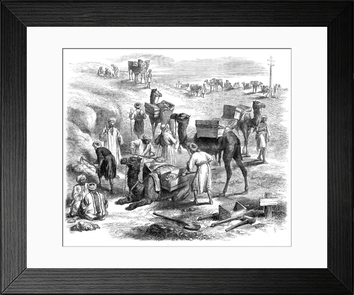 Framed Print : The Isthmus of Suez Maritime Canal: workmen loading dromedaries, 1869. Creator: Unknown Framed Print : The Isthmus of Suez Maritime Canal: workmen loading dromedaries, 1869. Creator: Unknown