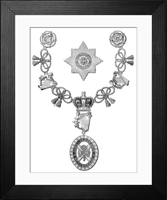 Framed Print : Visit of the Prince and Princess of Wales to Ireland: [regalia]... of a Knight of St. Patrick, 1868. Creator: Unknown