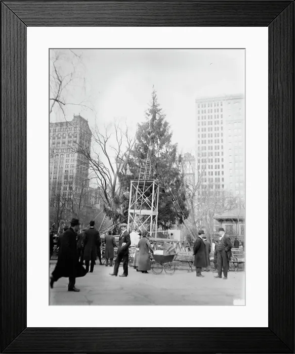 Framed Print : Xmas tree in Madison Sq. Park, N.Y.C. between c1910 and c1915. Creator: Bain News Service Framed Print : Xmas tree in Madison Sq. Park, N.Y.C. between c1910 and c1915. Creator: Bain News Service