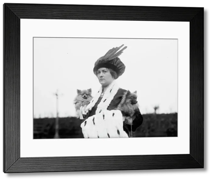 Framed Print : Edith Stone & Tuxedo Marvel, between c1910 and c1915. Creator: Bain News Service Framed Print : Edith Stone & Tuxedo Marvel, between c1910 and c1915. Creator: Bain News Service