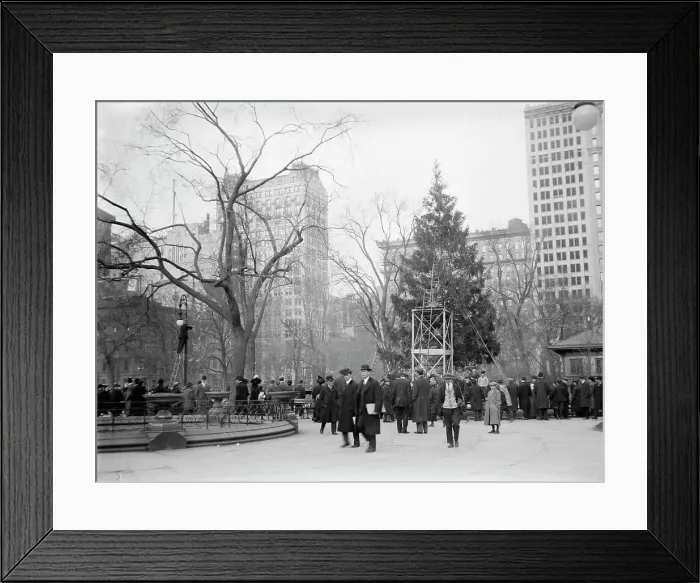 Framed Print : Xmas tree in Madison Sq. Park, N.Y.C. between c1910 and c1915. Creator: Bain News Service Framed Print : Xmas tree in Madison Sq. Park, N.Y.C. between c1910 and c1915. Creator: Bain News Service