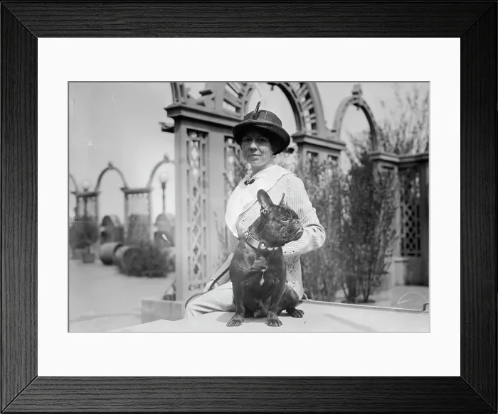 Framed Print : Mrs. J. Wadsworth Carpenter & Neco, between c1910 and c1915. Creator: Bain News Service Framed Print : Mrs. J. Wadsworth Carpenter & Neco, between c1910 and c1915. Creator: Bain News Service