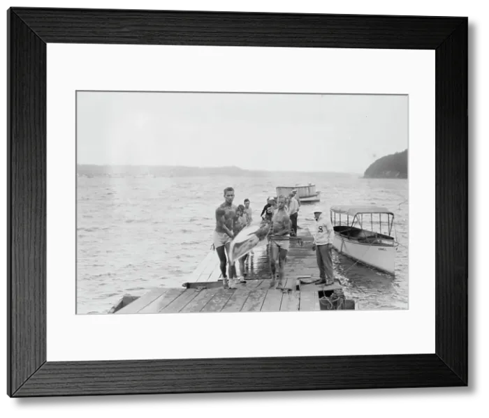 Framed Print : Stanford Varsity, between c1910 and c1915. Creator: Bain News Service Framed Print : Stanford Varsity, between c1910 and c1915. Creator: Bain News Service