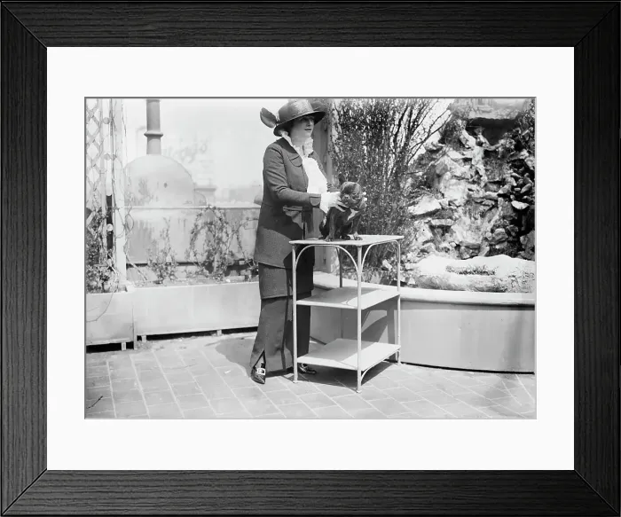 Framed Print : Mrs. Malcolm Strauss and pet, between c1910 and c1915. Creator: Bain News Service Framed Print : Mrs. Malcolm Strauss and pet, between c1910 and c1915. Creator: Bain News Service