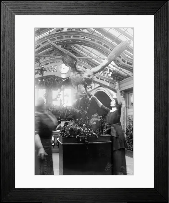 Framed Print : Helen Keller, 1913. Creator: Bain News Service Framed Print : Helen Keller, 1913. Creator: Bain News Service