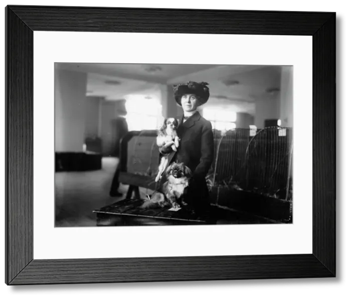 Framed Print : Miss M.A. Stovall with pets, between c1910 and c1915. Creator: Bain News Service Framed Print : Miss M.A. Stovall with pets, between c1910 and c1915. Creator: Bain News Service