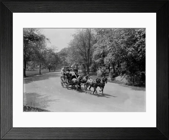 Framed Print : Ladies 4-in-hand-club, between c1910 and c1915. Creator: Bain News Service Framed Print : Ladies 4-in-hand-club, between c1910 and c1915. Creator: Bain News Service