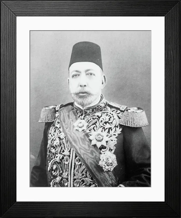 Framed Print : Sultan of Turkey, 1913. Creator: Bain News Service Framed Print : Sultan of Turkey, 1913. Creator: Bain News Service