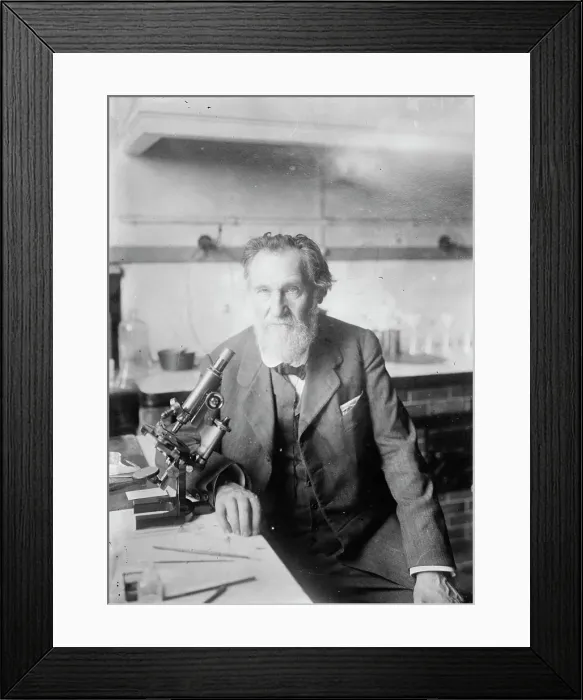 Framed Print : Elie Metchnikoff, between c1910 and c1915. Creator: Bain News Service Framed Print : Elie Metchnikoff, between c1910 and c1915. Creator: Bain News Service