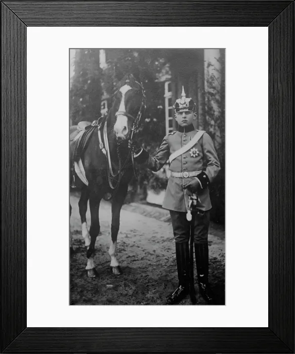 Framed Print : Duke Nicholas of Oldenberg, between c1910 and c1915. Creator: Bain News Service Framed Print : Duke Nicholas of Oldenberg, between c1910 and c1915. Creator: Bain News Service