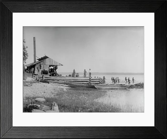Framed Print : Shad fishing, between c1910 and c1915. Creator: Bain News Service Framed Print : Shad fishing, between c1910 and c1915. Creator: Bain News Service