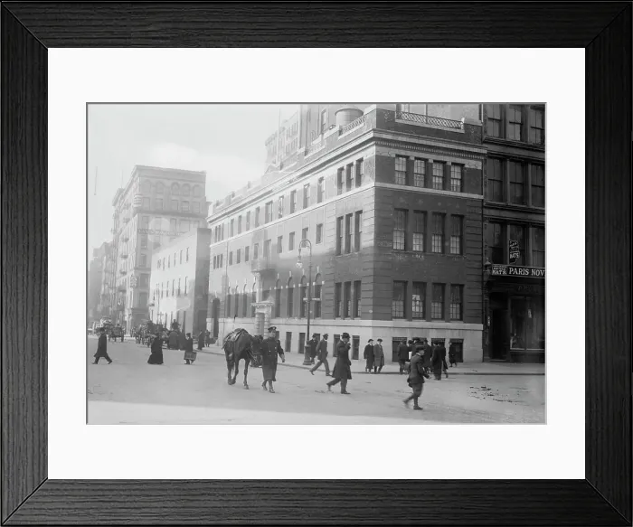 Framed Print : Hospital of N.Y. Women's League for Animals, 1914. Creator: Bain News Service Framed Print : Hospital of N.Y. Women's League for Animals, 1914. Creator: Bain News Service