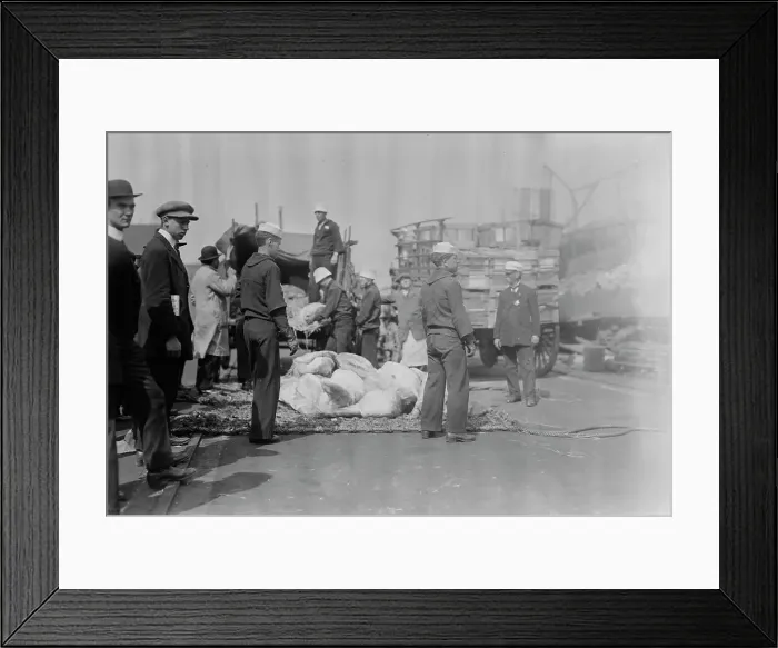 Framed Print : Meat for NEW YORK, between c1910 and c1915. Creator: Bain News Service Framed Print : Meat for NEW YORK, between c1910 and c1915. Creator: Bain News Service
