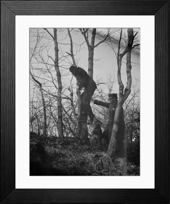 Framed Print : Policeman, police dog treeing tramp, New York City, 1912. Creator: Bain News Service Framed Print : Policeman, police dog treeing tramp, New York City, 1912. Creator: Bain News Service
