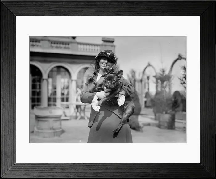 Framed Print : Mrs. Martha Haslam & Noisette, between c1910 and c1915. Creator: Bain News Service Framed Print : Mrs. Martha Haslam & Noisette, between c1910 and c1915. Creator: Bain News Service