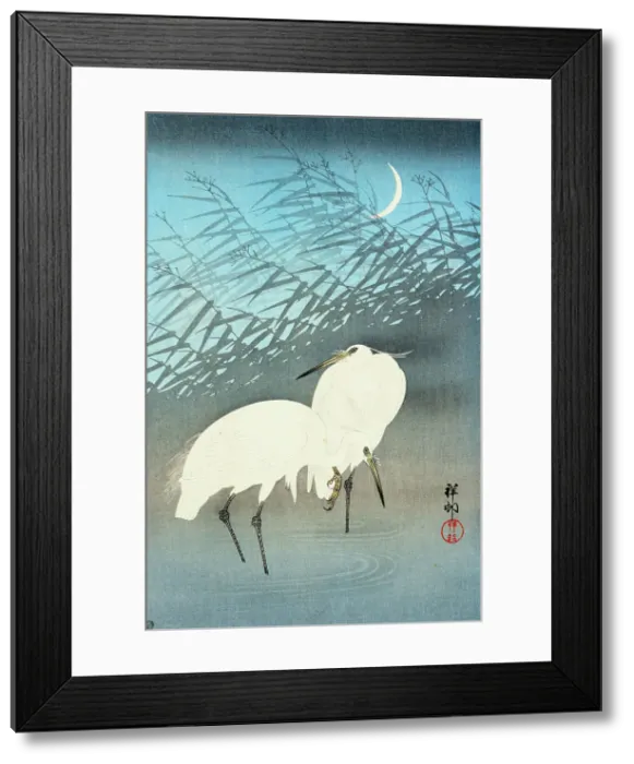Framed Print : Pair of white egrets, 1930. Creator: Ohara Koson Framed Print : Pair of white egrets, 1930. Creator: Ohara Koson