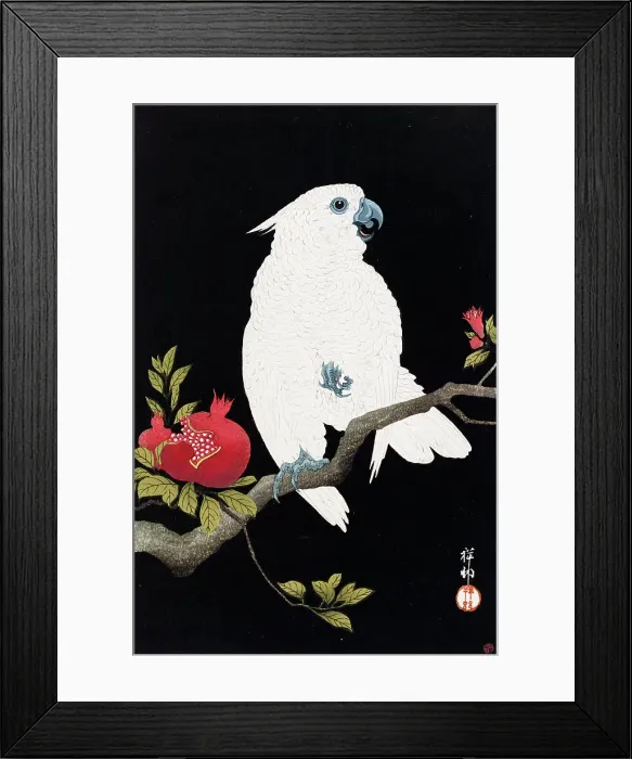 Framed Print : Cockatoo and pomegranate, 1930. Creator: Ohara Koson Framed Print : Cockatoo and pomegranate, 1930. Creator: Ohara Koson