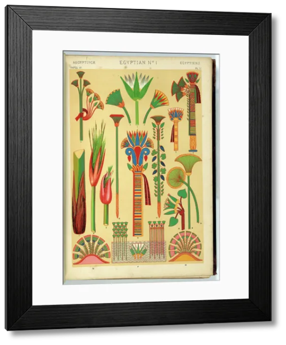 Framed Print : Egyptian Ornament (1). The Lotus and Papyrus. Plate 4 from the book: The grammar of ornament, 1868. Creator: Owen Jones Framed Print : Egyptian Ornament (1). The Lotus and Papyrus. Plate 4 from the book: The grammar of ornament, 1868. Creator: Owen Jones