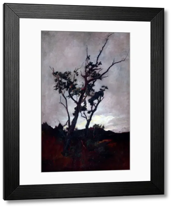 Framed Print : Tree study, c1893-98. Creator: Petrus van der Velden Framed Print : Tree study, c1893-98. Creator: Petrus van der Velden