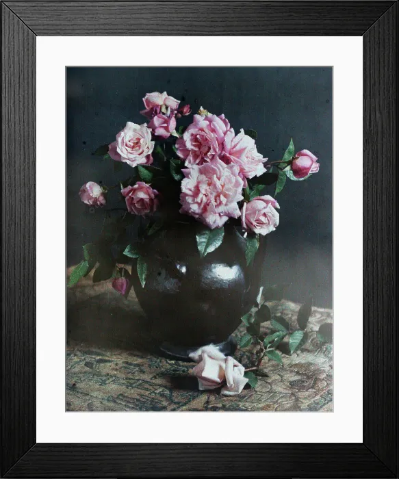 Framed Print : Autumn roses, 1915. Creator: Robert Walrond Framed Print : Autumn roses, 1915. Creator: Robert Walrond