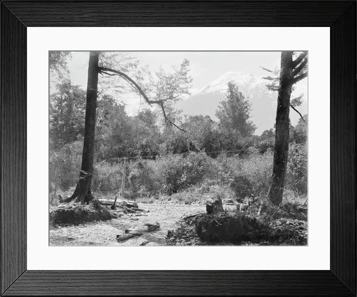 Framed Print : Mount Alexander, West Coast Road, c1880s. Creator: Burton Brothers Framed Print : Mount Alexander, West Coast Road, c1880s. Creator: Burton Brothers