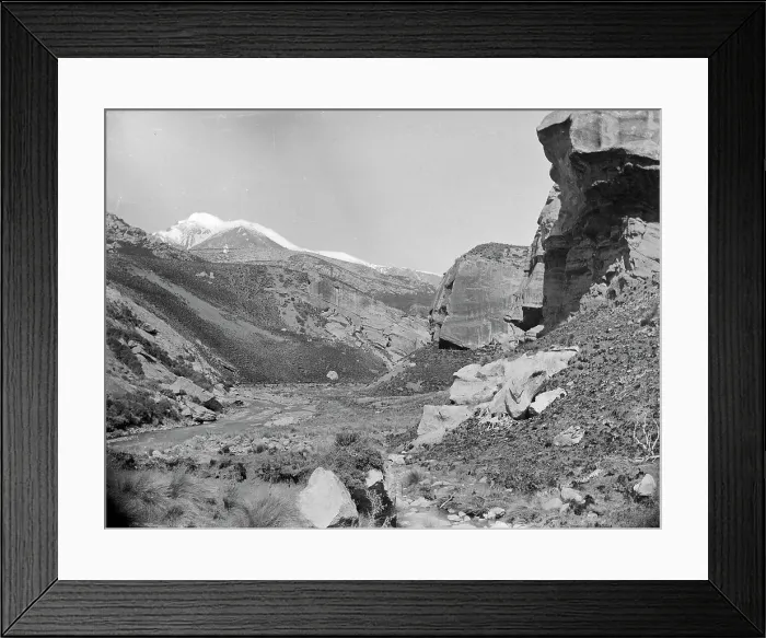 Framed Print : Gorge of Thomas and Porter Rivers, West Coast Road, c1880s. Creator: Burton Brothers
