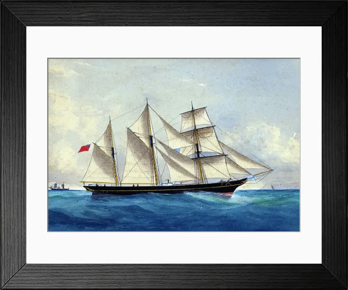 Framed Print : The Ladybird, c1880s. Creator: William Forster Framed Print : The Ladybird, c1880s. Creator: William Forster