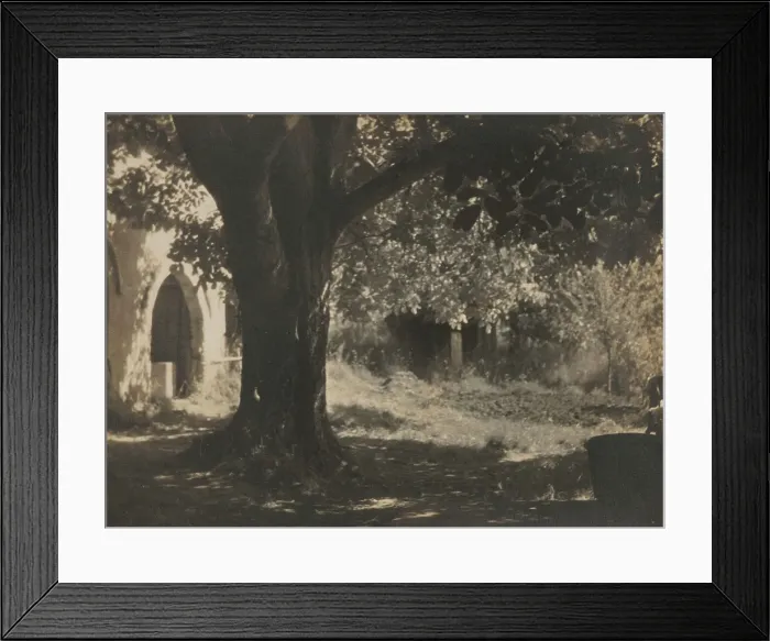 Framed Print : The old walnut tree, 1931. Creator: Henry Edward Gaze Framed Print : The old walnut tree, 1931. Creator: Henry Edward Gaze