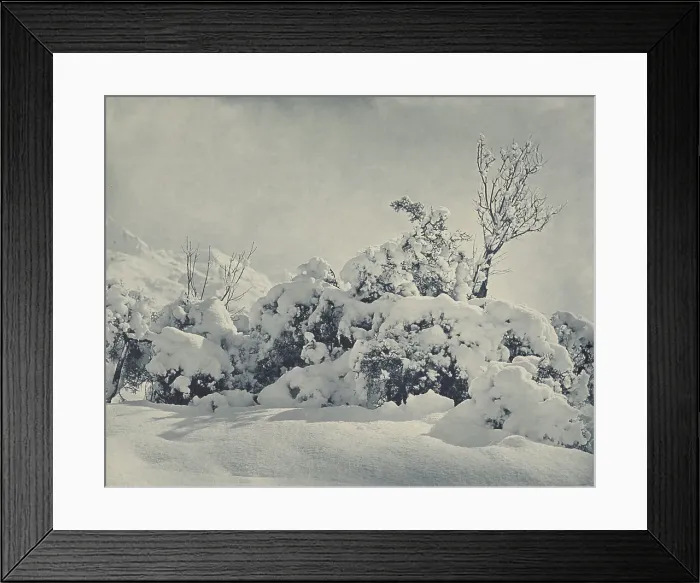 Framed Print : Winter's mantle, Mt Cook district, 1920s. Creator: Harry Moult Framed Print : Winter's mantle, Mt Cook district, 1920s. Creator: Harry Moult