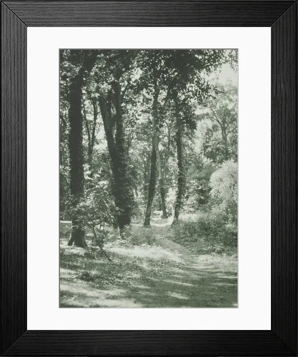 Framed Print : In the new forest, Hants. From the album: Photograph album - England, 1920s. Creator: Harry Moult Framed Print : In the new forest, Hants. From the album: Photograph album - England, 1920s. Creator: Harry Moult