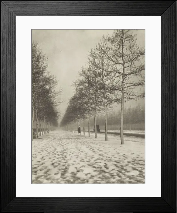Framed Print : The Mall in winter. From the album: Photograph album - London, 1920s. Creator: Harry Moult Framed Print : The Mall in winter. From the album: Photograph album - London, 1920s. Creator: Harry Moult