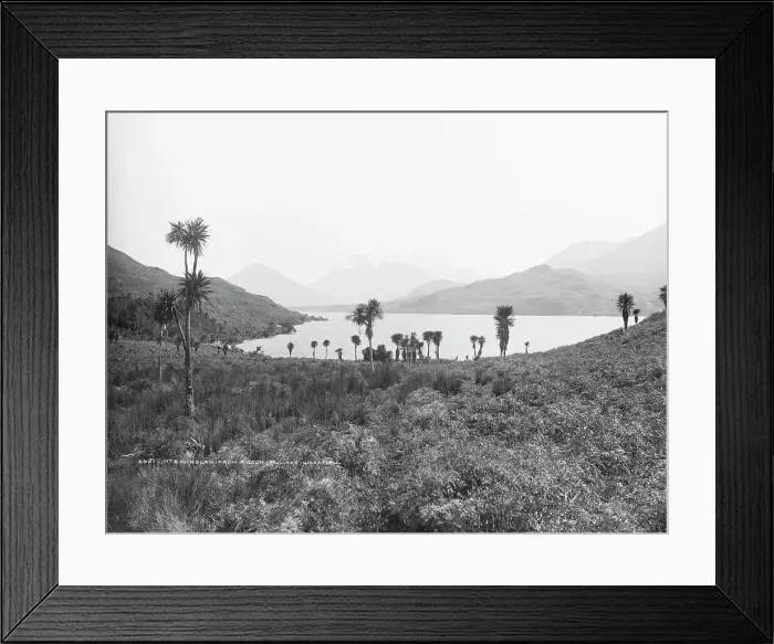Framed Print : Mount Earnslaw, from Pigeon Island, Lake Wakatipu, 1886. Creator: Burton Brothers Framed Print : Mount Earnslaw, from Pigeon Island, Lake Wakatipu, 1886. Creator: Burton Brothers