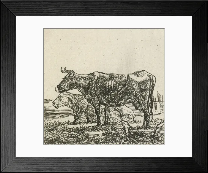 Framed Print : Cows, 1640-1665. Creator: Aelbert Cuyp Framed Print : Cows, 1640-1665. Creator: Aelbert Cuyp