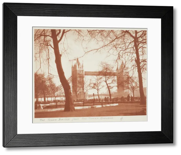 Framed Print : The Tower Bridge from the Tower grounds. From the album: Photograph album - London, 1920s. Creator: Harry Moult Framed Print : The Tower Bridge from the Tower grounds. From the album: Photograph album - London, 1920s. Creator: Harry Moult