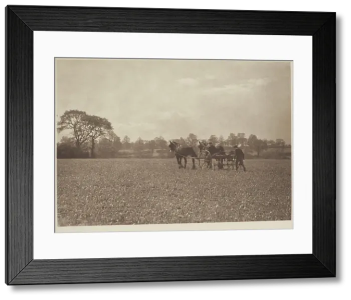 Framed Print : On the farm. From the album: Photograph album - England, 1920s. Creator: Harry Moult Framed Print : On the farm. From the album: Photograph album - England, 1920s. Creator: Harry Moult