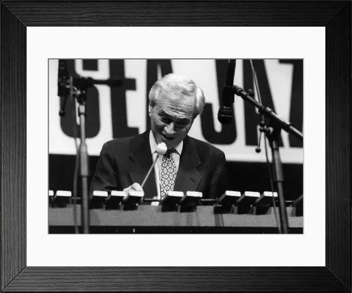 Framed Print : Terry Gibbs, North Sea Jazz Festival, The Hague, the Netherlands, 1995. Creator: Brian Foskett Framed Print : Terry Gibbs, North Sea Jazz Festival, The Hague, the Netherlands, 1995. Creator: Brian Foskett