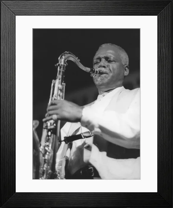 Framed Print : Dave Fathead Newman, North Sea Jazz Festival, Netherlands, 1996. Creator: Brian Foskett Framed Print : Dave Fathead Newman, North Sea Jazz Festival, Netherlands, 1996. Creator: Brian Foskett