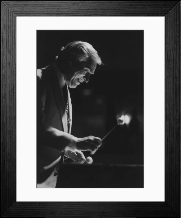 Framed Print : Terry Gibbs, North Sea Jazz Festival, The Hague, the Netherlands, 1995. Creator: Brian Foskett Framed Print : Terry Gibbs, North Sea Jazz Festival, The Hague, the Netherlands, 1995. Creator: Brian Foskett
