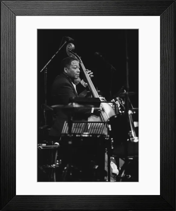 Framed Print : Jimmy Woode, North Sea Jazz Festival, The Hague, the Netherlands, 1993. Creator: Brian Foskett Framed Print : Jimmy Woode, North Sea Jazz Festival, The Hague, the Netherlands, 1993. Creator: Brian Foskett