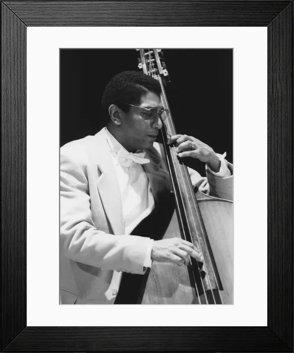 Framed Print : Stafford James, North Sea Jazz Festival, 1995. Creator: Brian Foskett Framed Print : Stafford James, North Sea Jazz Festival, 1995. Creator: Brian Foskett