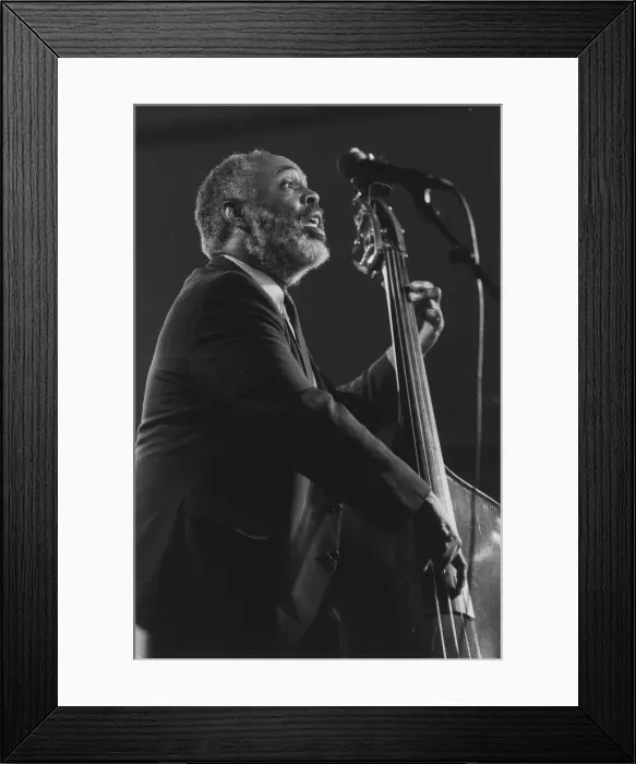 Framed Print : Henry Grimes, c2005. Creator: Brian Foskett Framed Print : Henry Grimes, c2005. Creator: Brian Foskett