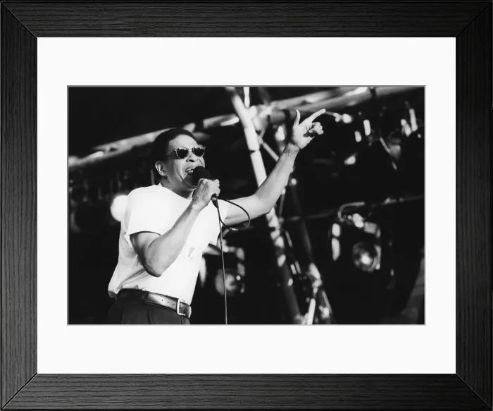 Framed Print : Al Jarreau, Jazz on a Summers Day, Alexandra Palace, London, 1993. Creator: Brian Foskett Framed Print : Al Jarreau, Jazz on a Summers Day, Alexandra Palace, London, 1993. Creator: Brian Foskett