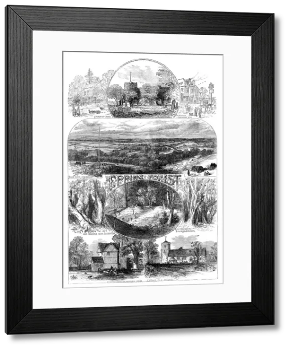 Framed Print : Sketches in Epping Forest, 1871. Creator: Unknown
